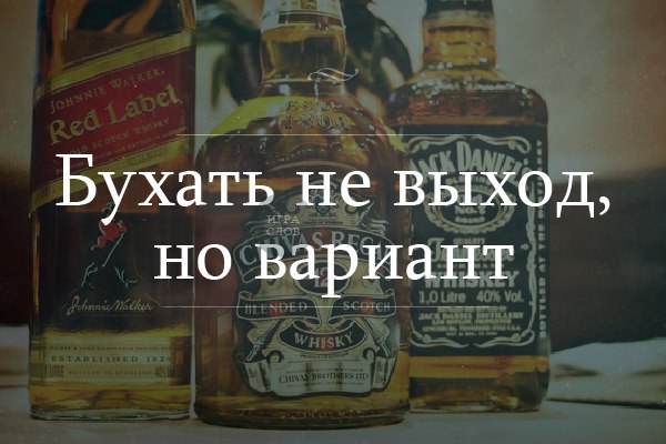 Пить или не пить