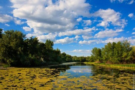 Санатории Кургана